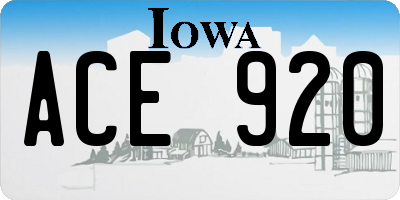 IA license plate ACE920