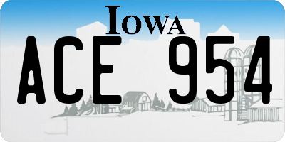 IA license plate ACE954