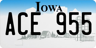 IA license plate ACE955