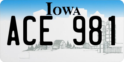 IA license plate ACE981