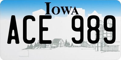 IA license plate ACE989