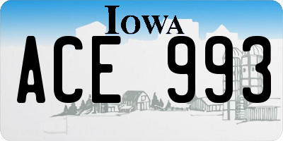 IA license plate ACE993
