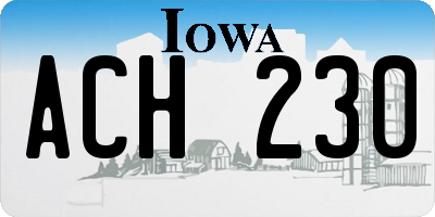 IA license plate ACH230