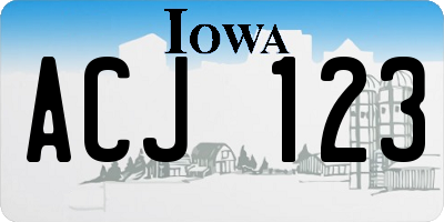 IA license plate ACJ123