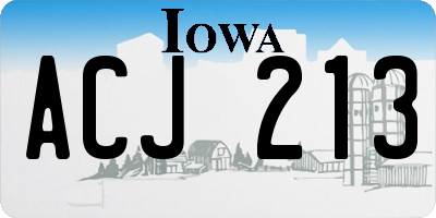 IA license plate ACJ213