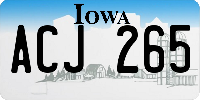 IA license plate ACJ265