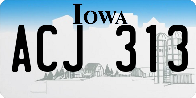 IA license plate ACJ313