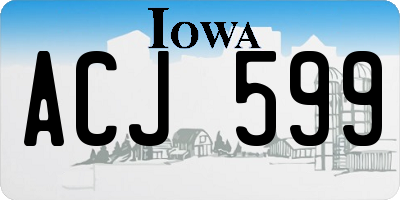 IA license plate ACJ599