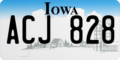 IA license plate ACJ828