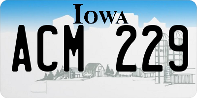 IA license plate ACM229