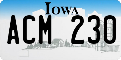IA license plate ACM230