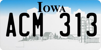 IA license plate ACM313