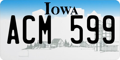 IA license plate ACM599