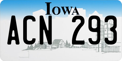IA license plate ACN293
