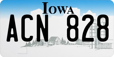IA license plate ACN828