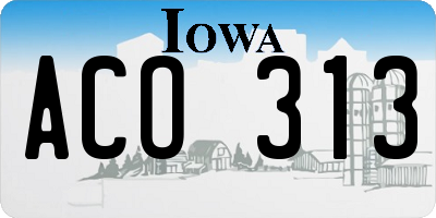 IA license plate ACO313