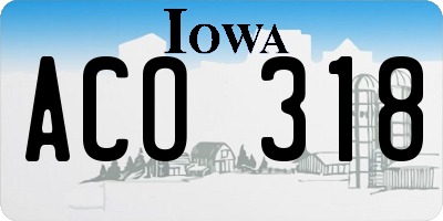 IA license plate ACO318