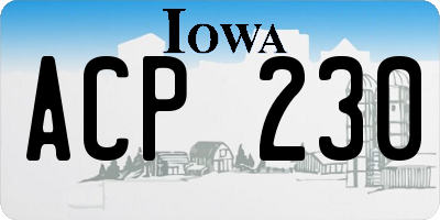 IA license plate ACP230