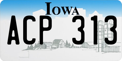 IA license plate ACP313