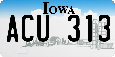 IA license plate ACU313