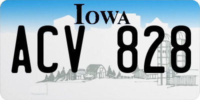 IA license plate ACV828