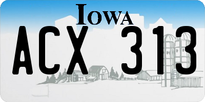 IA license plate ACX313