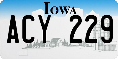 IA license plate ACY229