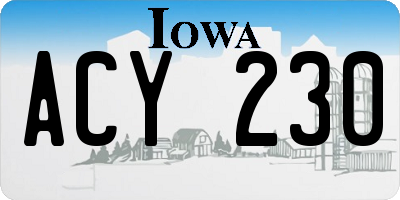 IA license plate ACY230