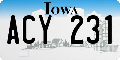 IA license plate ACY231