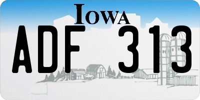 IA license plate ADF313