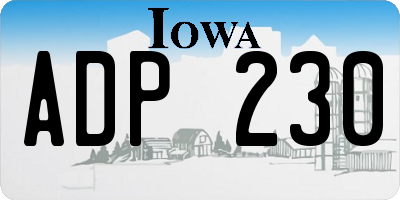 IA license plate ADP230