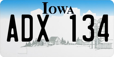 IA license plate ADX134