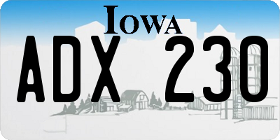 IA license plate ADX230