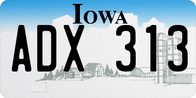 IA license plate ADX313