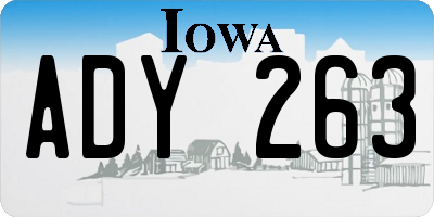 IA license plate ADY263