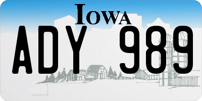 IA license plate ADY989
