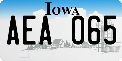 IA license plate AEA065