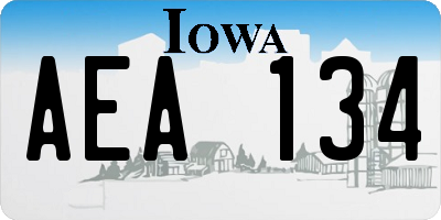 IA license plate AEA134
