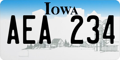 IA license plate AEA234