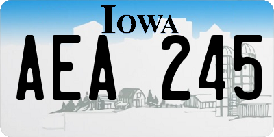 IA license plate AEA245