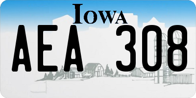 IA license plate AEA308