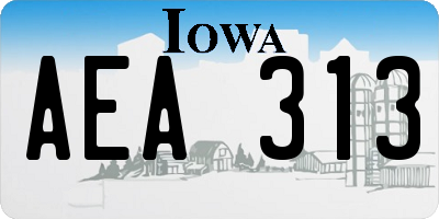 IA license plate AEA313