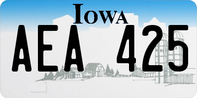 IA license plate AEA425