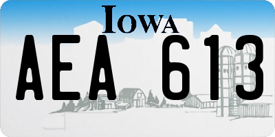 IA license plate AEA613