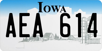 IA license plate AEA614