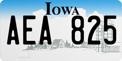 IA license plate AEA825