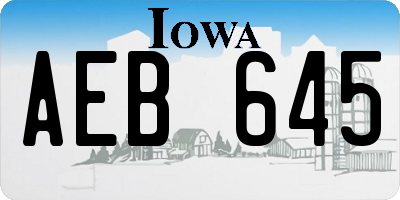 IA license plate AEB645