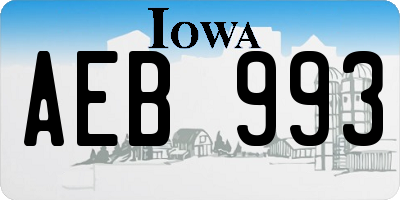 IA license plate AEB993