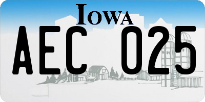 IA license plate AEC025