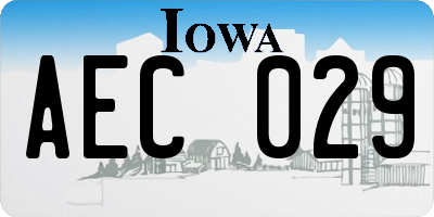 IA license plate AEC029